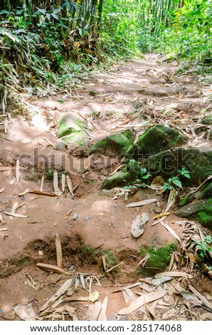 Hiking trails in tropical forests
