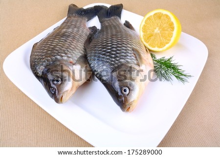 Two fresh carp on white plate with lemon, top view