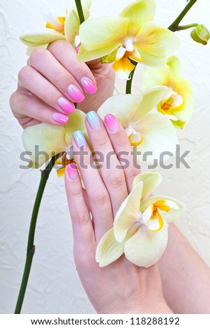Woman hands with beautiful manicure with blue and pink nails and orchid flowers on white