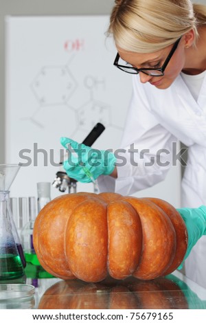 genetic experiment with pumpkin