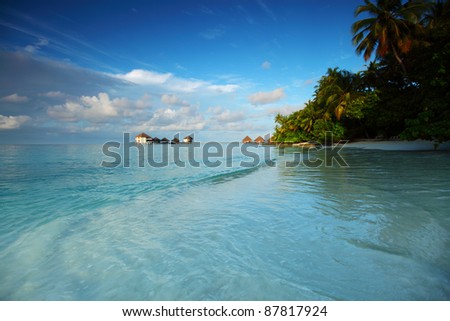 maldives landscape ocean palm sky