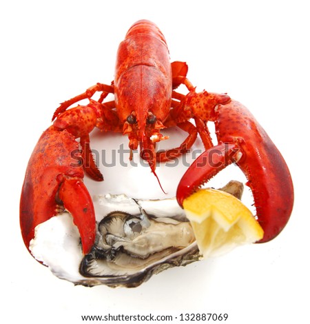 Lobster and oyster isolated on white background