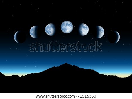 Vector Moon Phases - 71516350 : Shutterstock