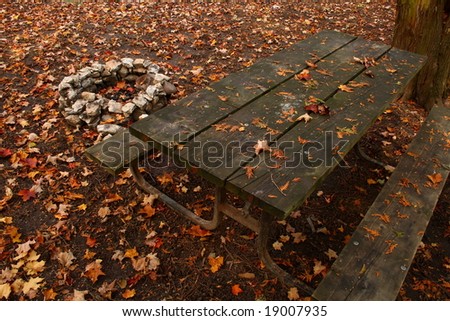 campsite in a park with a table and a fire pit