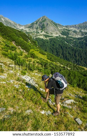 Man picking and eating blue berries on the mountain