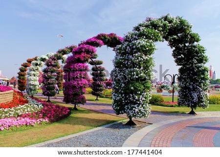 Dubai, Uae - Januari 31, 2014 - Dubai Miracle Garden: The world's biggest natural flower garden contains over 45 million flowers and over a 72,000 sq metre site.