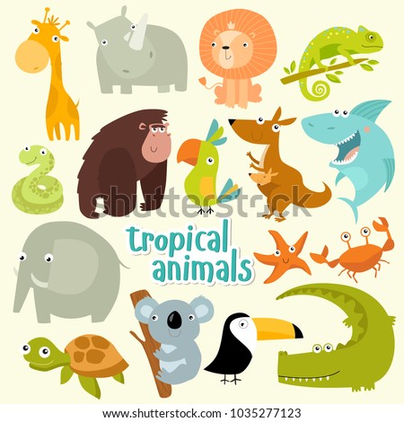 Big set of vector animals. Tropical animals. cartoon animals. lion, giraffe, gorilla, crab, shark, snake, elephant, rhinoceros, parrot, koala, kangaroo, crocodile, turtle
