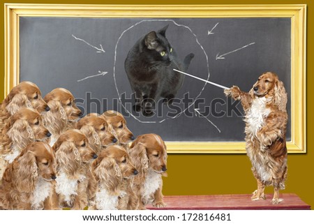 Education lesson for dogs