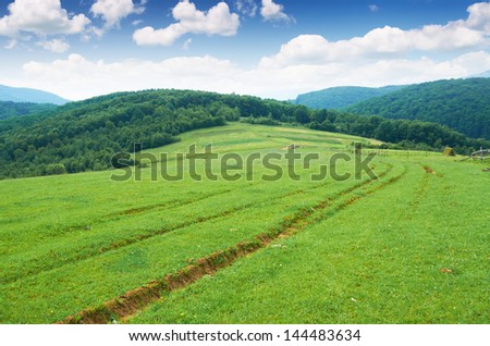 Pasture in the mountains serene summer morning