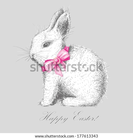 hand-drawn cute bunny hand-drawn cute bunny