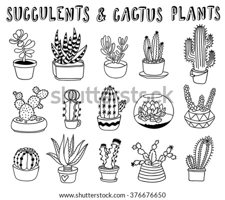 outline tumblr drawings Stock Succulents Drawn Doodle Vector Cactus And Hand Set