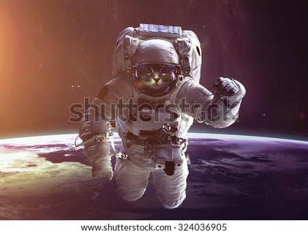 Beautiful cat in outer space. Elements of this image furnished by NASA.