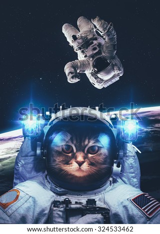 An astronaut cat floats above Earth. Stars provide the background. Elements of this Image Furnished by NASA.