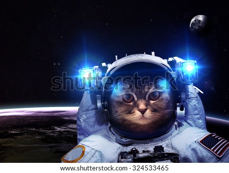 An astronaut cat floats above Earth. Stars provide the background. Elements of this Image Furnished by NASA.