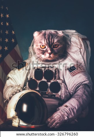 Beautiful cat astronaut. Elements of this image furnished by NASA.
