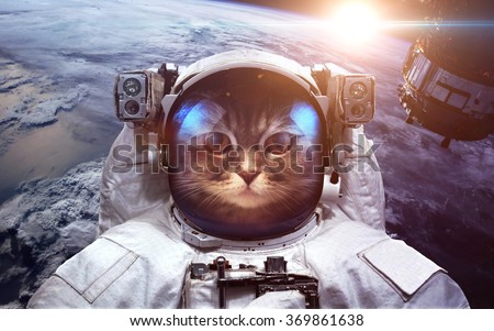 Astronaut cat in outer space against the backdrop of the planet earth. Elements of this image furnished by NASA