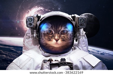 Cat Astronaut in outer space. Spacewalk. Elements of this image furnished by NASA