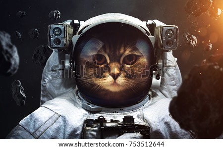 Brave cat astronaut at the spacewalk. Animals in space. Elements of this image furnished by NASA