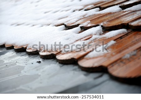 Spring concept shot with snow melting down on a roof tile