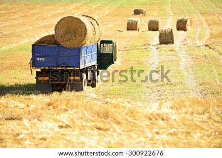 PLOIESTI/ROMANIA - JULY 27: A truck loaded with hay bales on a field during harvest time, on July 27, 2014 in Ploiesti.