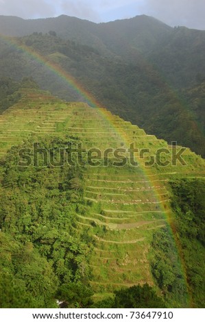 Bright rainbow over green rice terraces after rain shower