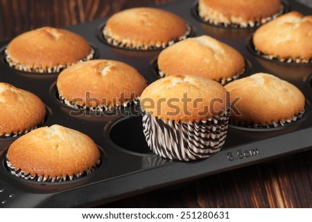 Plain Cupcakes In Baking Tray.