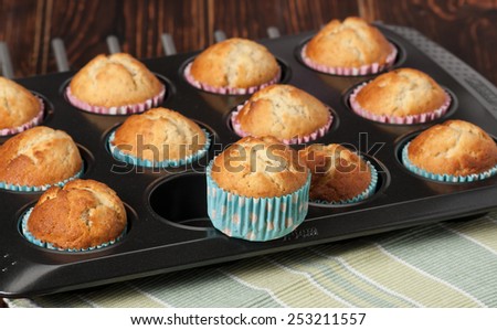 Plain Cupcakes In Baking Tray.