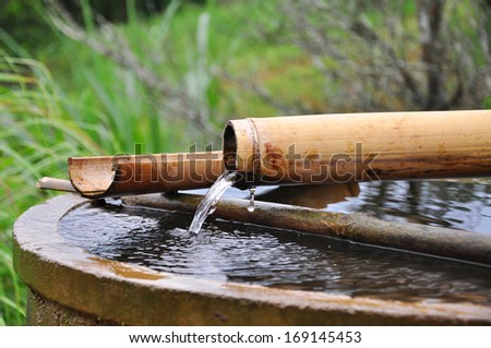 water from bamboo drip