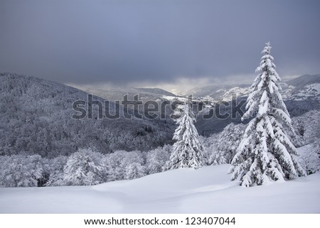 panoramic view of middle range mountain in winter time, north east of France