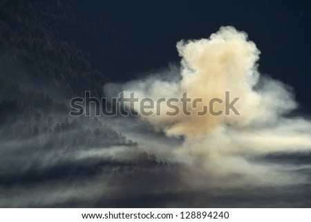 fir trees firing forest with deep cloud smoke, middle range mountain