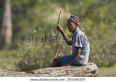 Bardia, Nepal - November 28, 2013: Old nepali taru men sitting in terai jungle in Bardia, Nepal watching his cattle.