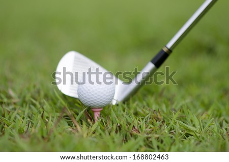 A golf club with golf ball on a golf course