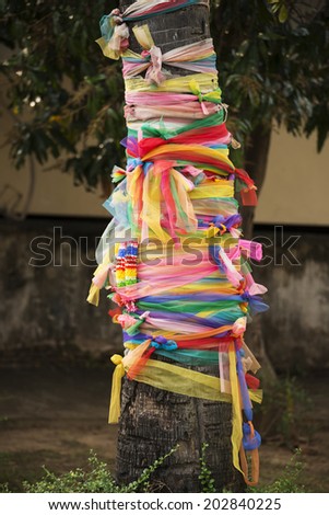 Three fabric color wrap the old tree, the belief in thailand