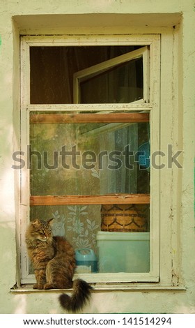 A cat that sits on a window in a village house