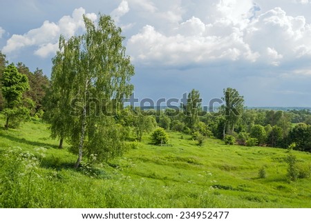 Landscape with forest and meadow in the summer before the storm