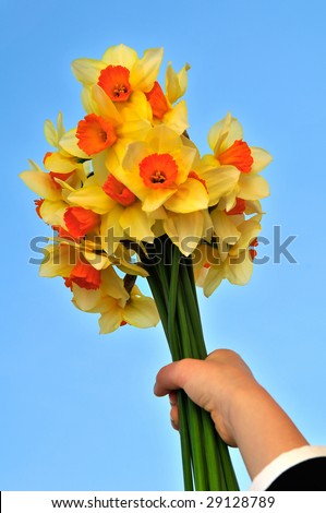 Kid's hand holding a yellow flowers. Mothering Sunday. Day of the Grandmother.