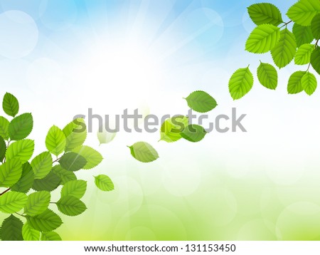 Vector illustration spring cards with green leaves