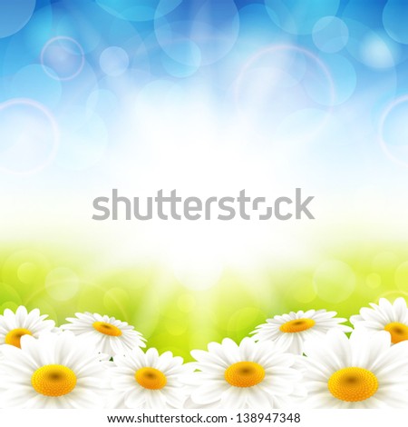 Vector illustration flowers on the summer background