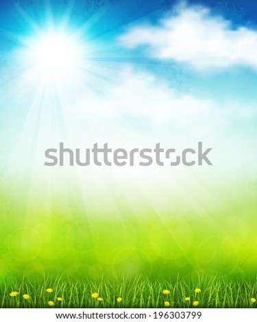 Vector illustration of a bright summer backgrounds with grass and flowers