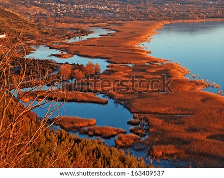 autumn background lake blue water and brown plants