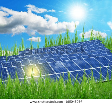 solar park green grass and sun - ecology