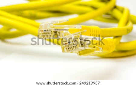 rj45 network  cord yellow  - macro details