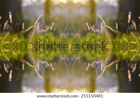 Blurred background elements of nature. Natural green bokeh background. Autumn Picture collage of elements of yellow green grass and sunset background blur. Sight and sound of nature. Stereo audio line