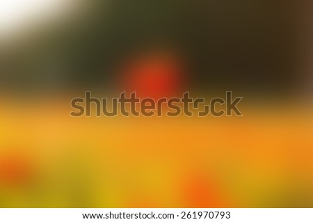 Blurred image background. Bright colored wallpaper. Red spot in the middle. Red, yellow, green - the basic color of the blurred photos. Field, forest, flowers, sun, light in the form of diffuse spots.