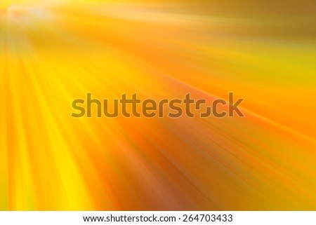 Blurred colorful floral background. Blurred flowers, petals in blurry rays of the setting sun. Blurred image for the text of the substrate. For information spring,  summer, flowers, rural locality.