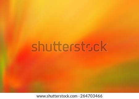 Blurred colorful floral background. Blurred flowers, petals in blurry rays of the setting sun. Blurred image for the text of the substrate. For information spring, summer, flowers, rural locality.
