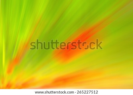 Blurred colorful floral background. Blurred flowers, petals in blurry rays of the setting sun. Blurred image for the text of the substrate. For information spring, summer, flowers, rural locality.