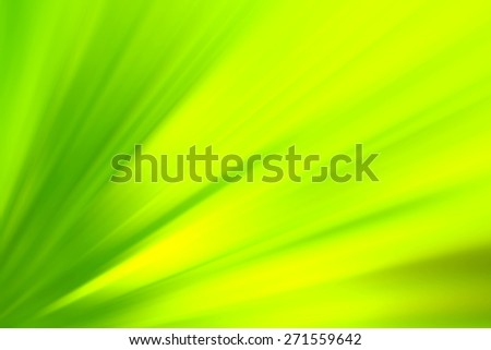 Green blurred background. Image for the screen saver with the text. Element flower. Abstract texture flower with bright elements of green stripes and spots of color. Spring and summer colors.