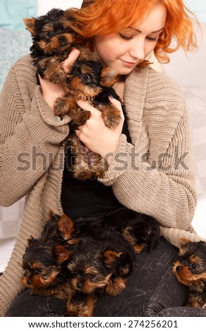 Young girl with a puppy of Yorkshire terrier. Beautiful reddish haired young woman holding a group of small terrier puppy York. Woman and puppy dog house in the room. Many puppies a woman in his arms.