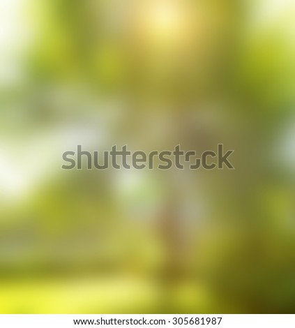 Blurred background image for the screen with text. Concept for text, design, advertising about spring, summer, sunset, sun, nature, park, light, shadow, trip, walking, health, lifestyle, green grass.